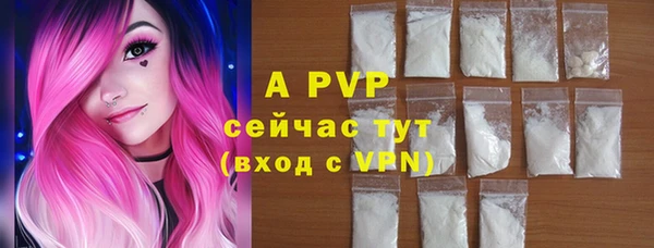 мдпв Осташков