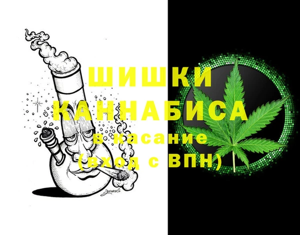 мдпв Осташков