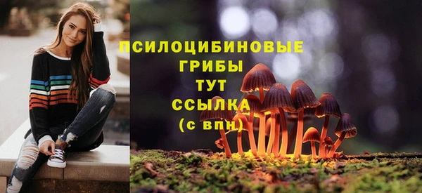мдпв Осташков