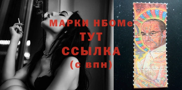 мдпв Осташков