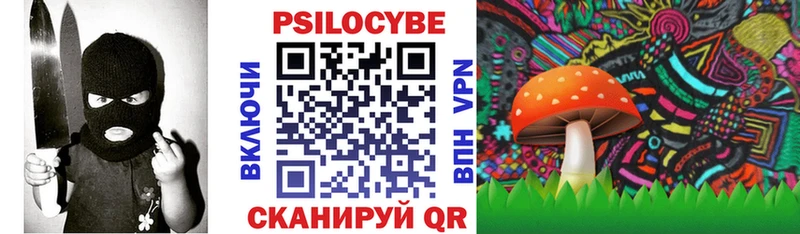 Купить где  Орёл  Псилоцибиновые грибы мицелий 